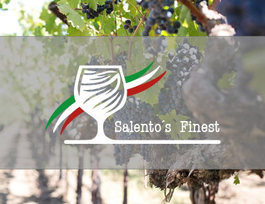 Logo vom Weinhandel Salento´s Finest im Hintergrund sind Weinreben und Trauben zu sehen.