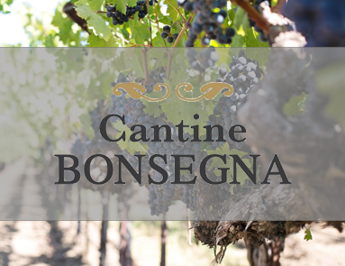 Logo vom Weinhandel Cantine Bonsegna im Hintergrund sind Weinreben und Trauben zu sehen.